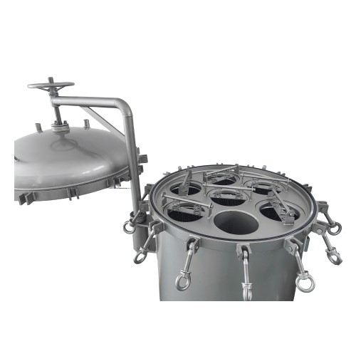 SS2205-6-Bag Filter Housing