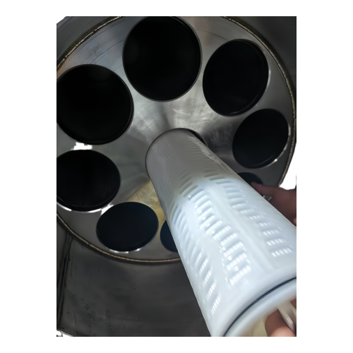 SS316-8+40-Cartridge Filter Housing