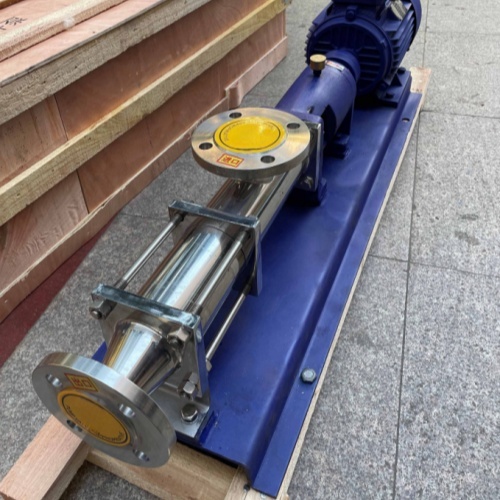 SS316-G60-Transfer Pump